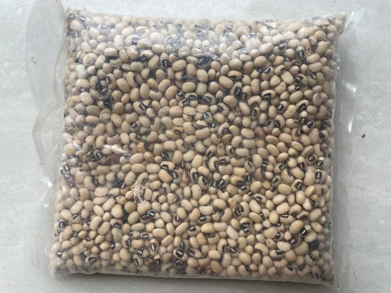 Bodi (BLACK Eyed Pea )