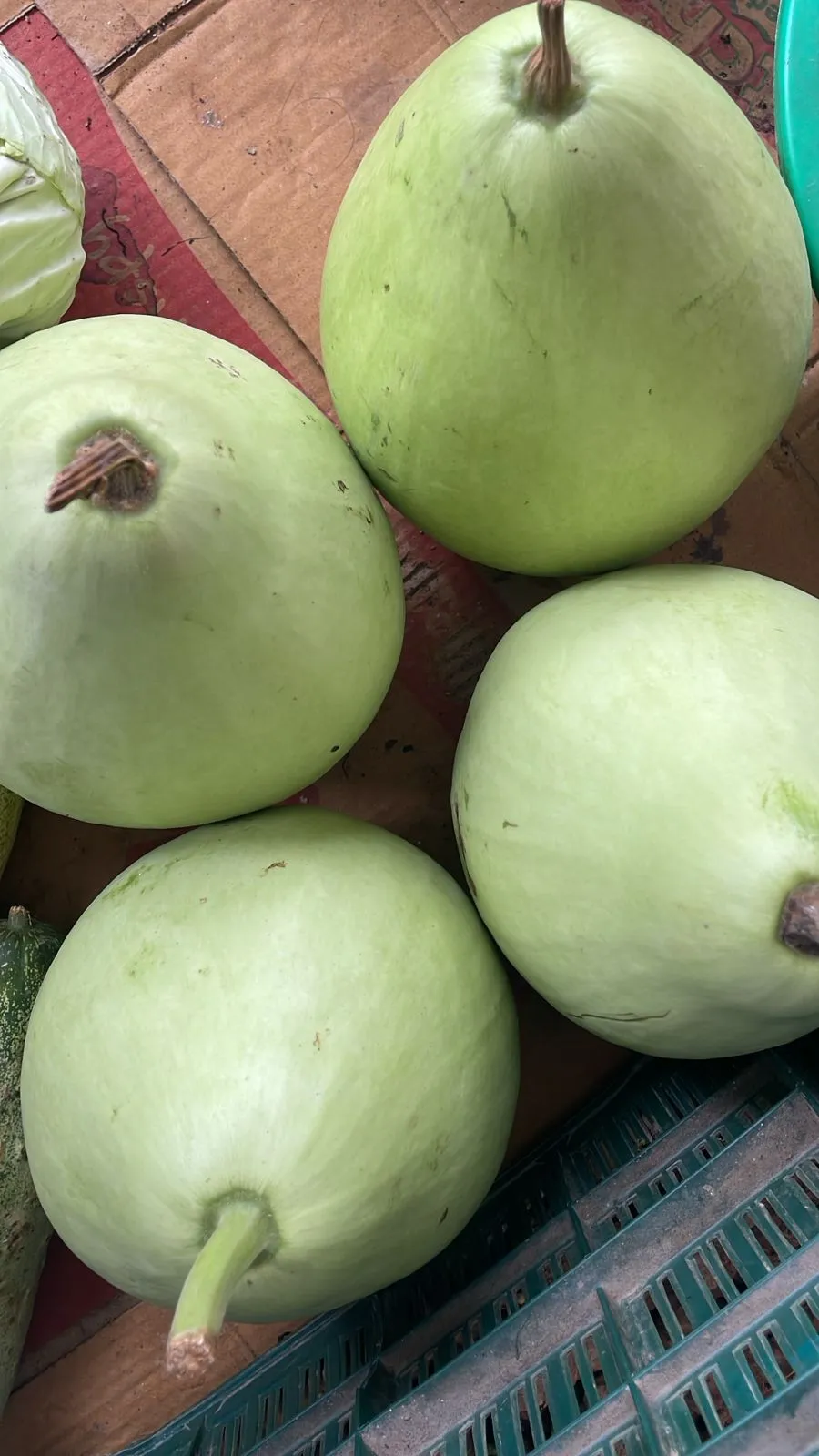 Lauka ( Bottle Gourd )