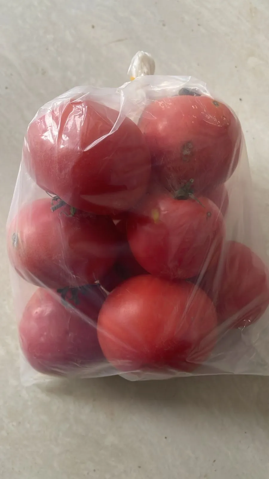 Golveda ( Tomato )