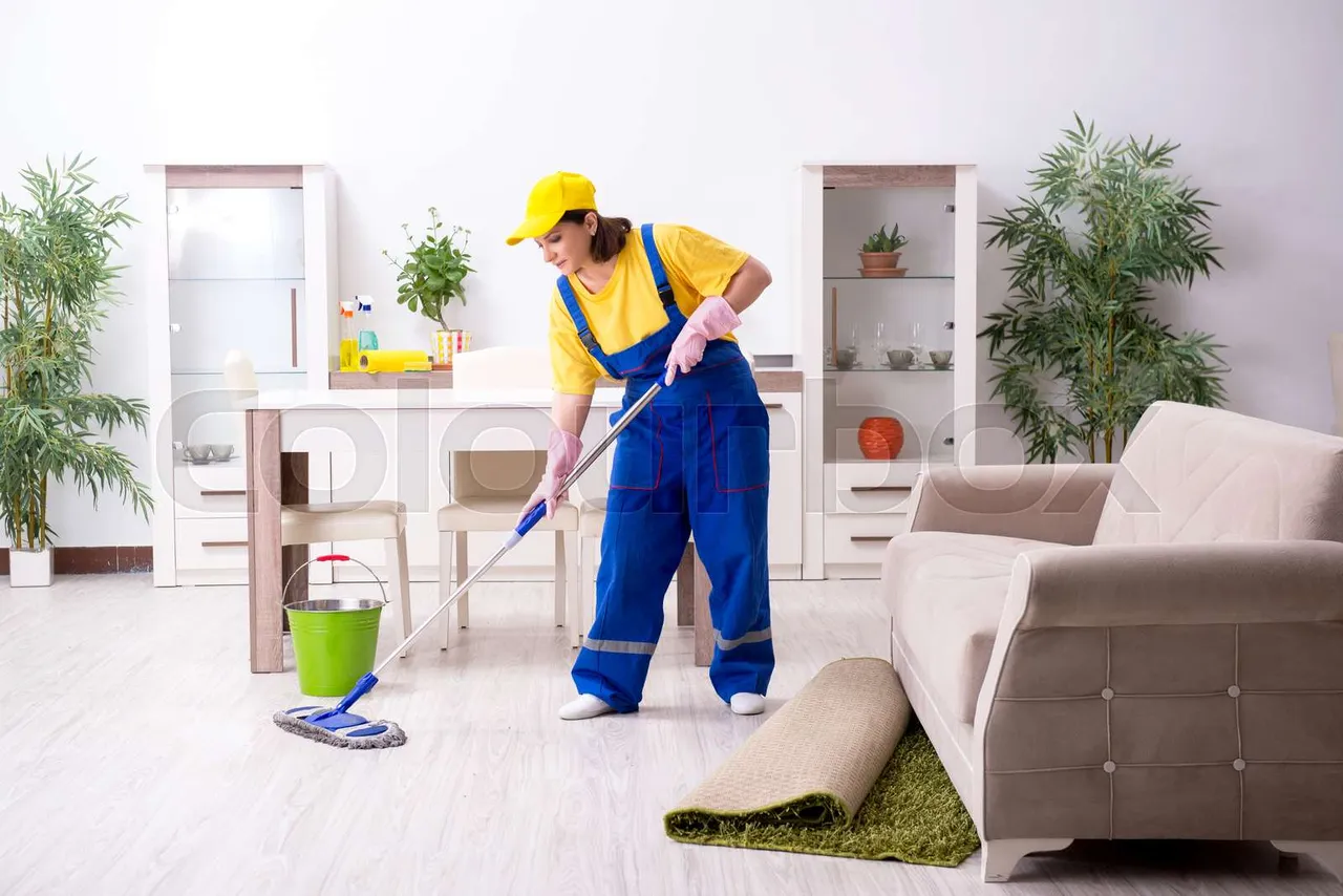 HOUSE WORKER 